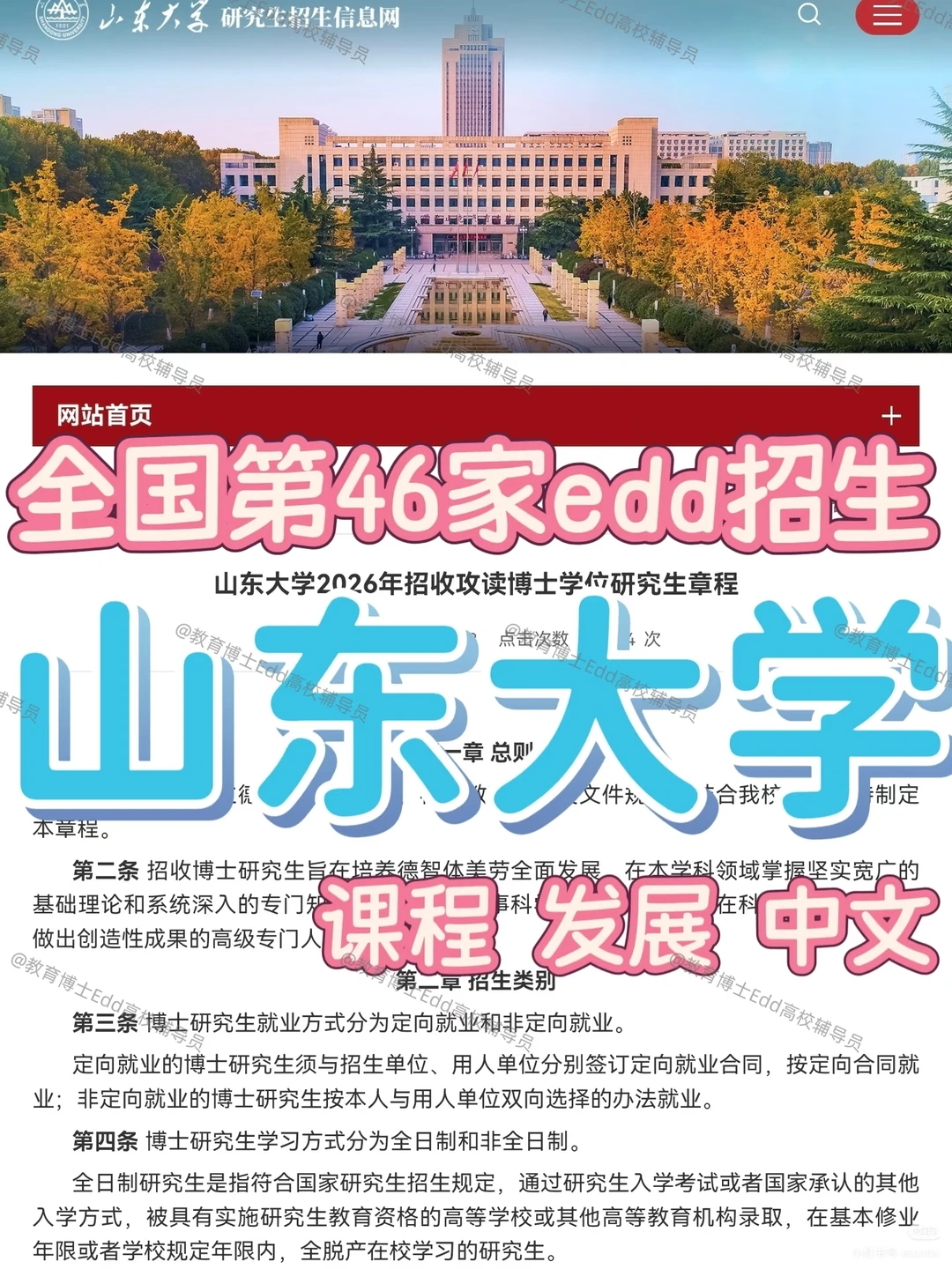 🥳首招12.10-25山东大学2026教育博士拟招
