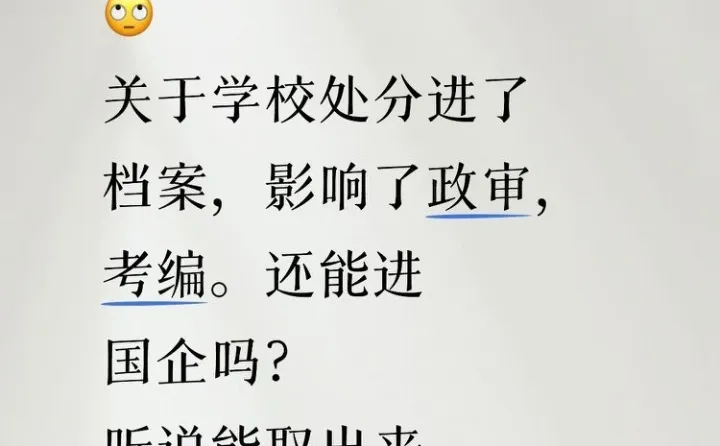 当年少不懂事，档案里有了处分怎么办？