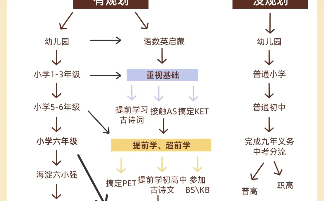 一张图说清楚，普娃的升学之路
