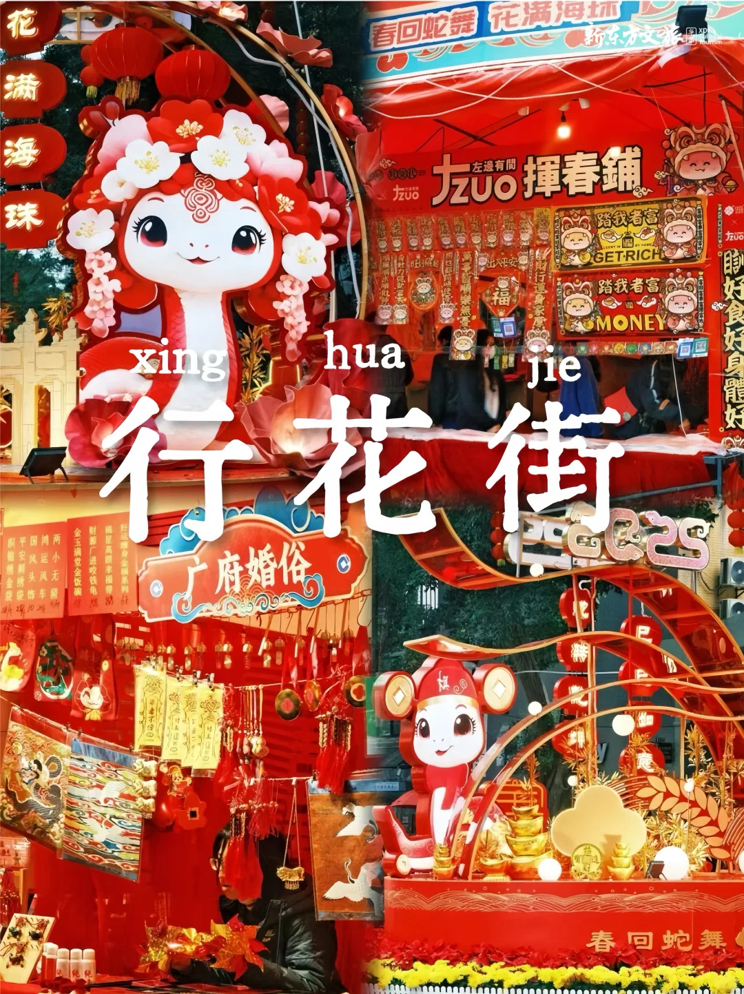 寒假带娃闯港大！国际视野直接拉满🔥