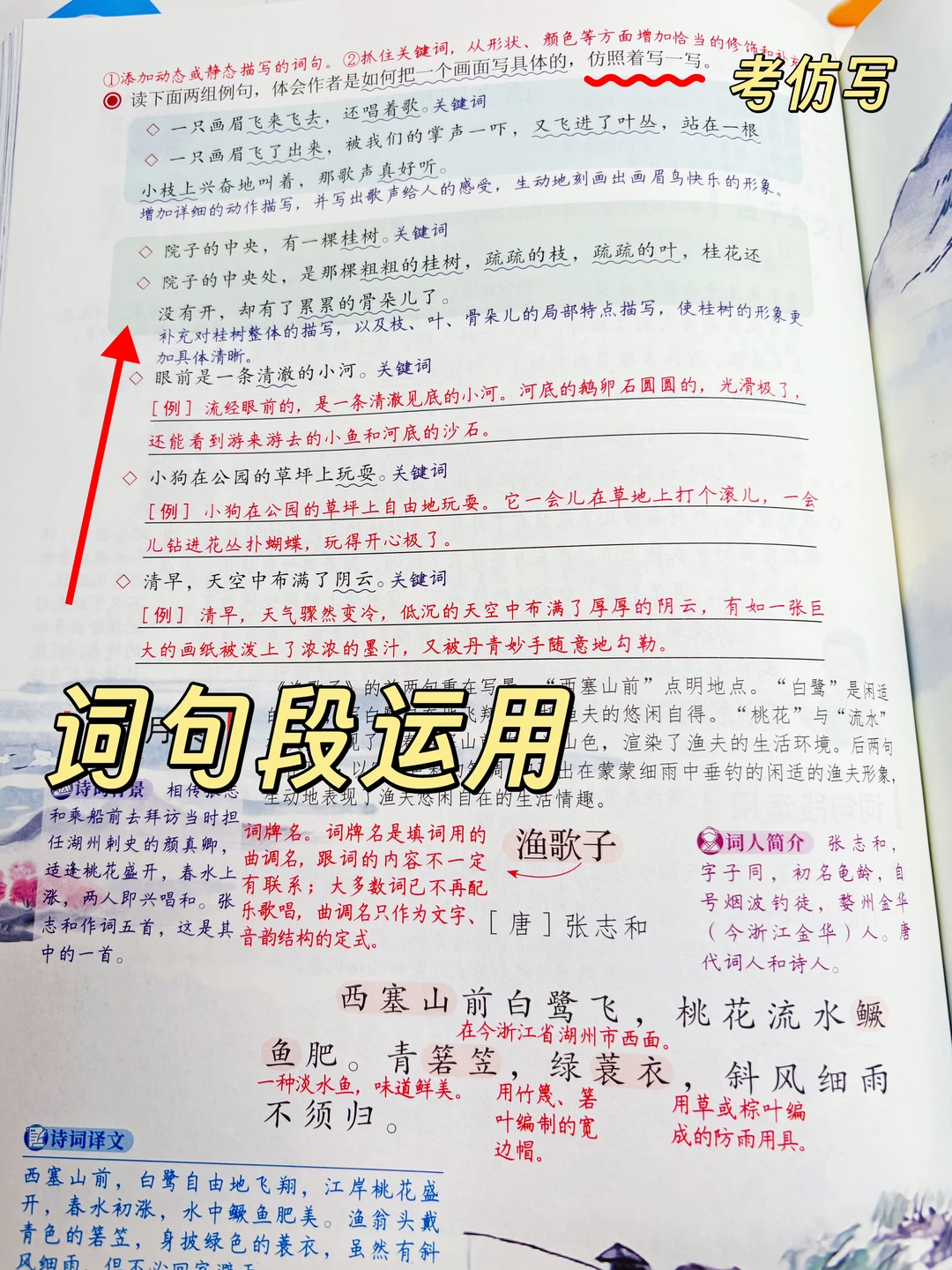 语文期末复习安排，让孩子轻松应对考试👍