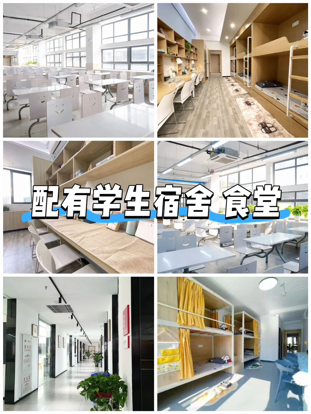 焦虑升学？荷马定制专属【初升高通关计划】