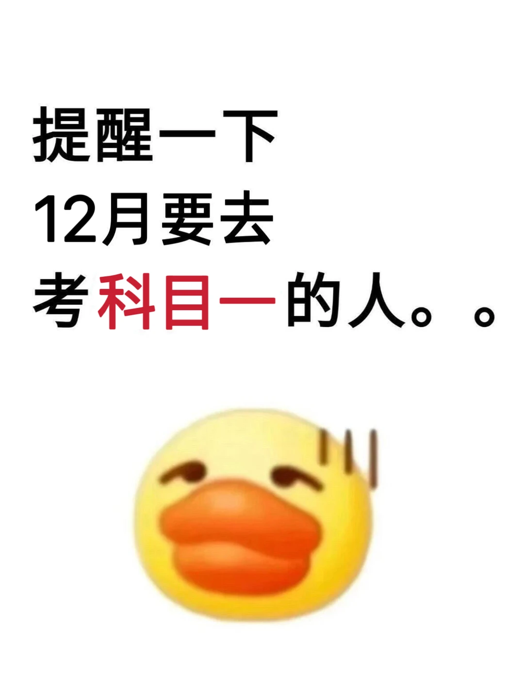 12月考科目一的人就这8页纸，熬夜背吧