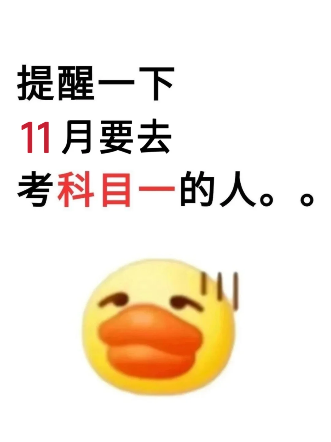 11月考科目一的，这样看，考试就像抄答案！