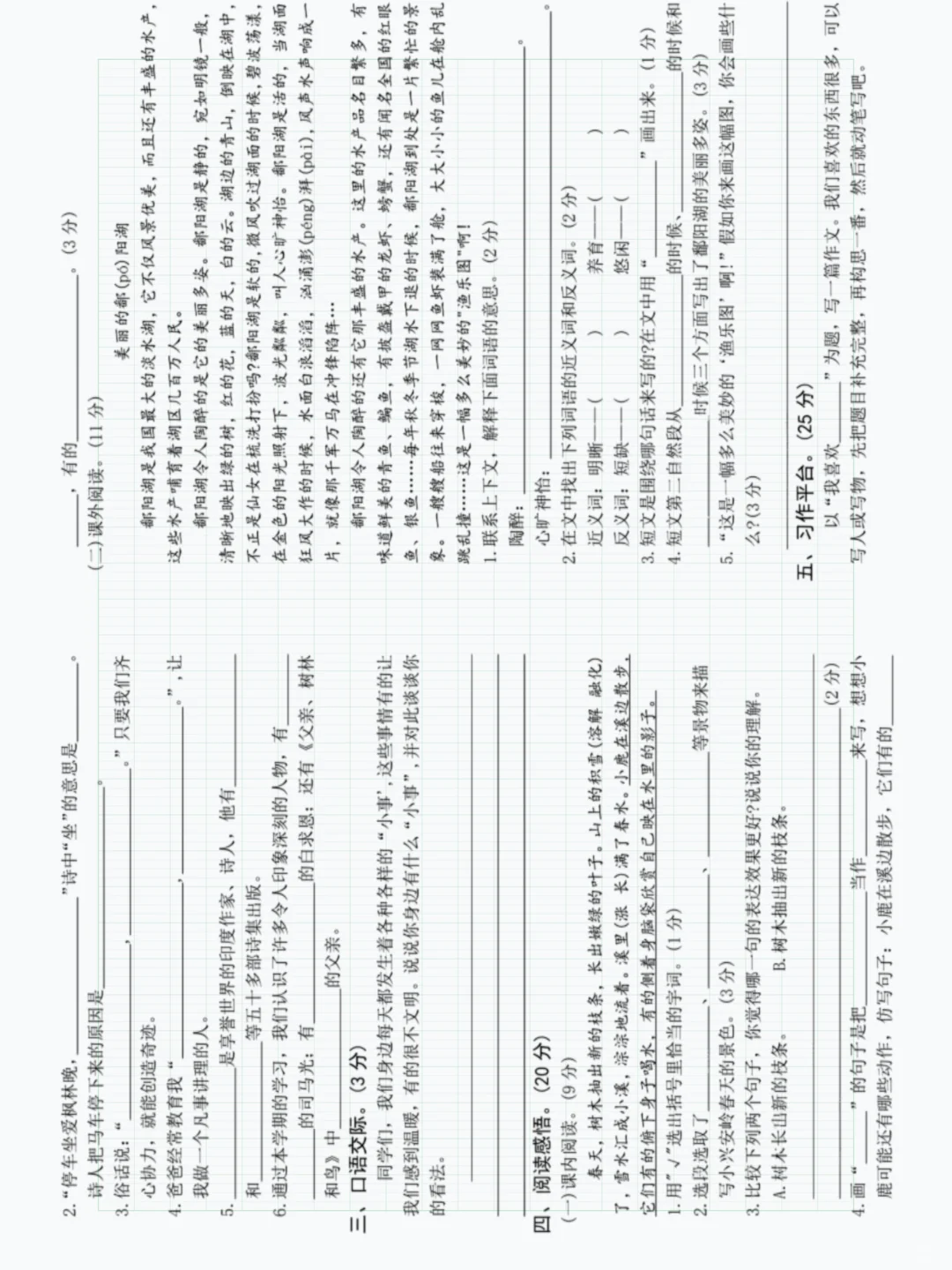 三年级上册语文期末考试卷