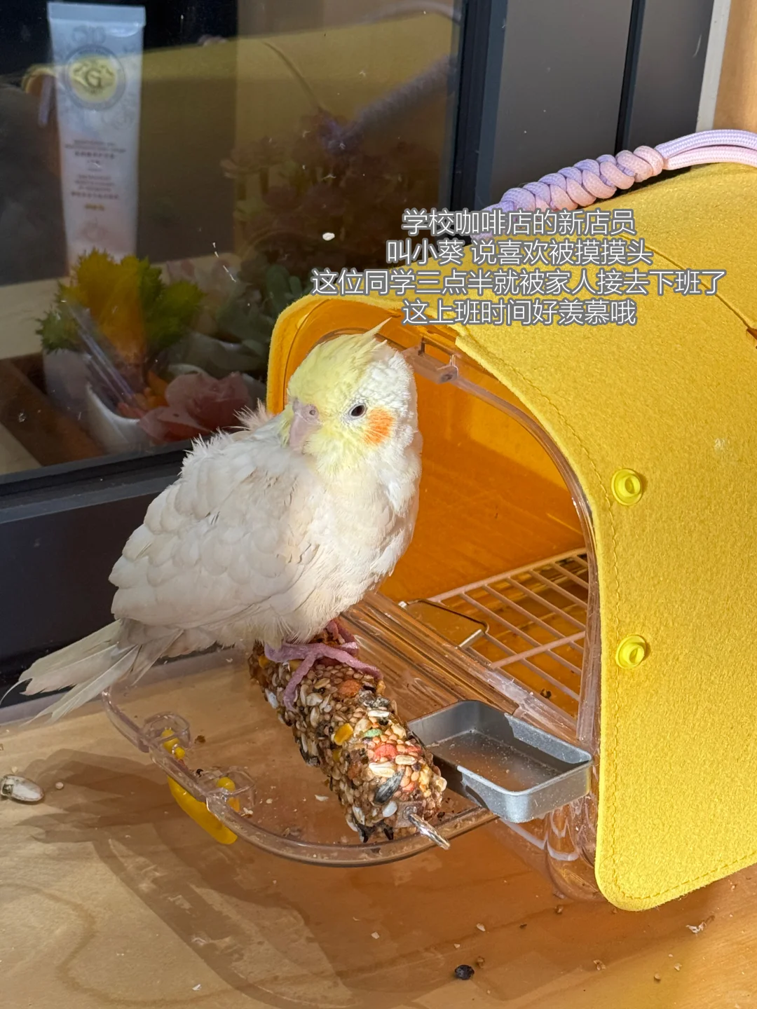 高校行政 | 学校的教务秘书，都在干嘛？