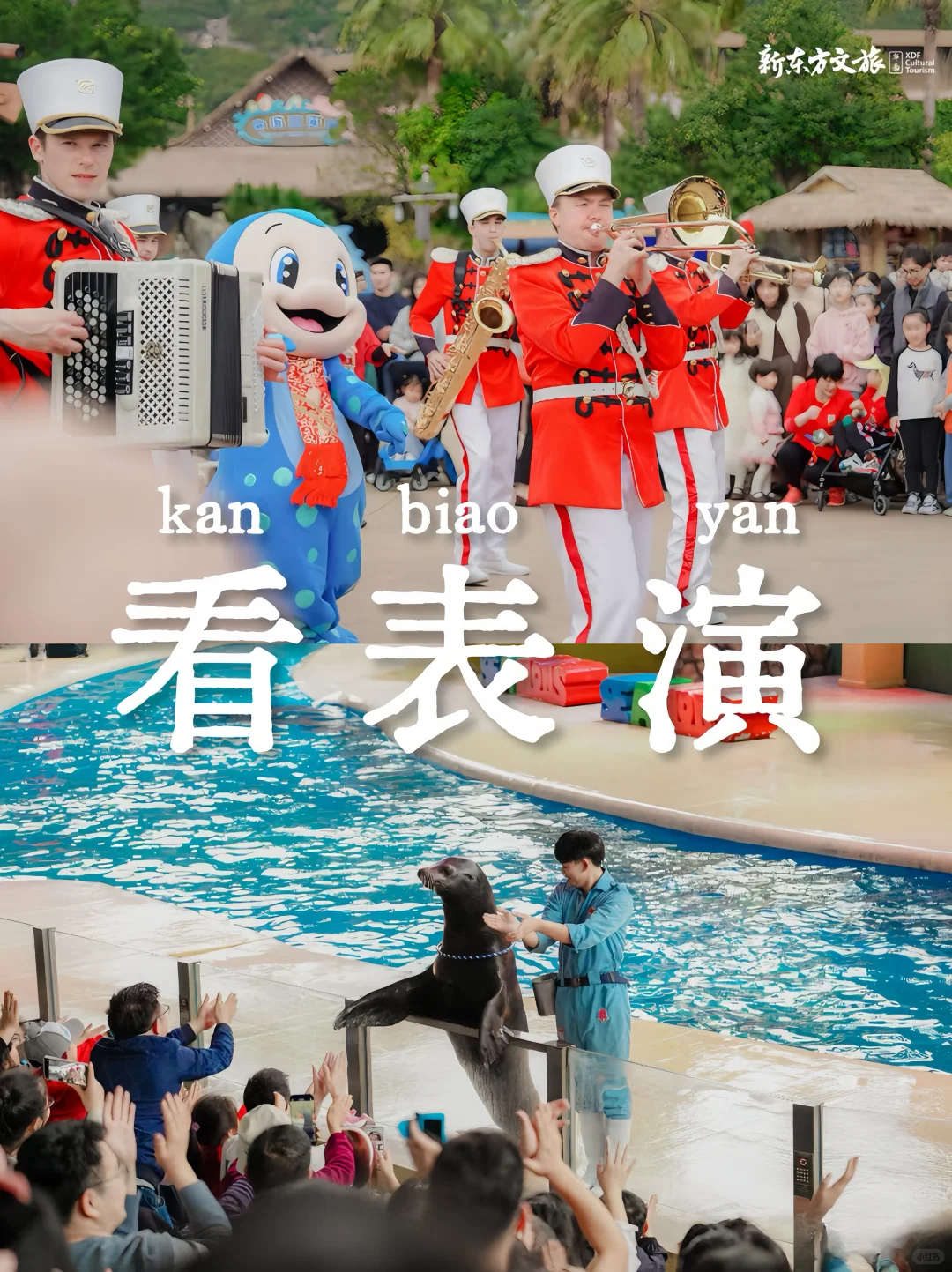 寒假带娃闯港大！国际视野直接拉满🔥