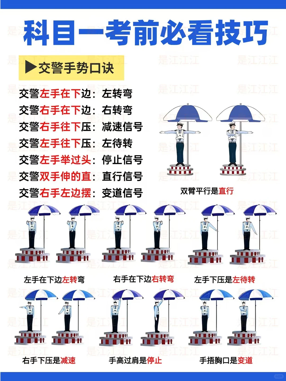 原来科目一可以作弊，姐瞬间不急了