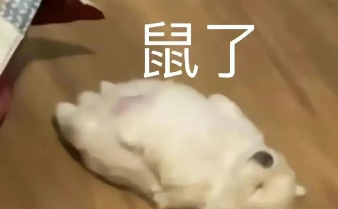 天塌了，因为没看研招网，我……😭‌