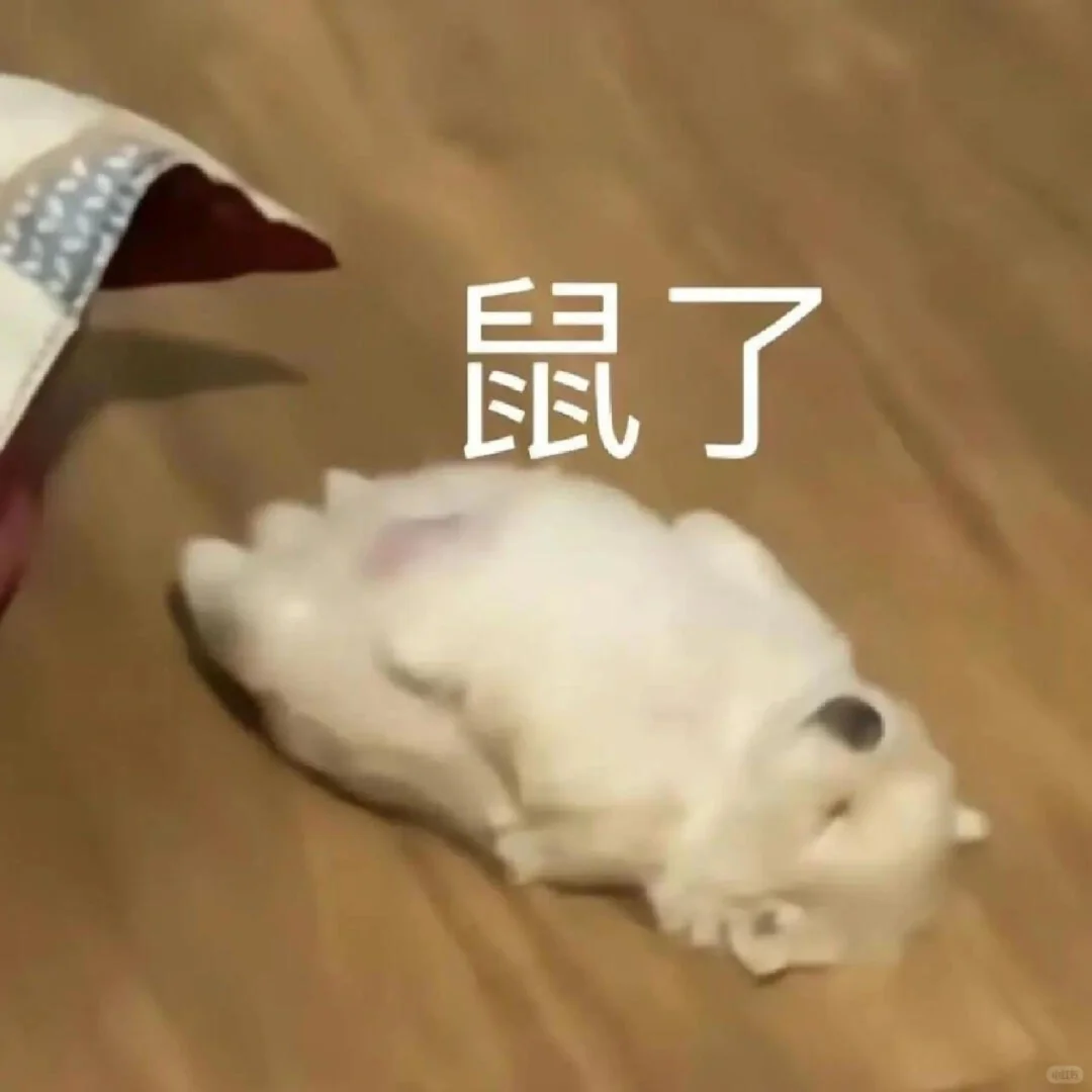 天塌了，因为没看研招网，我……😭‌