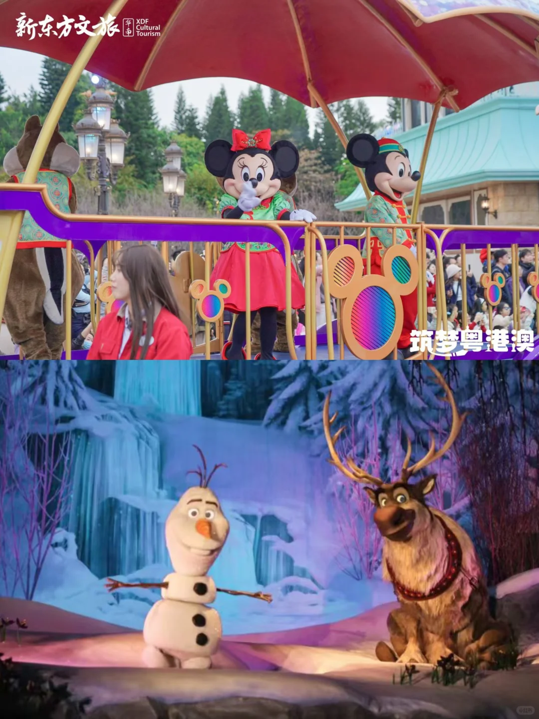 寒假遛娃天花板🔥用6天撬动港澳名校资源