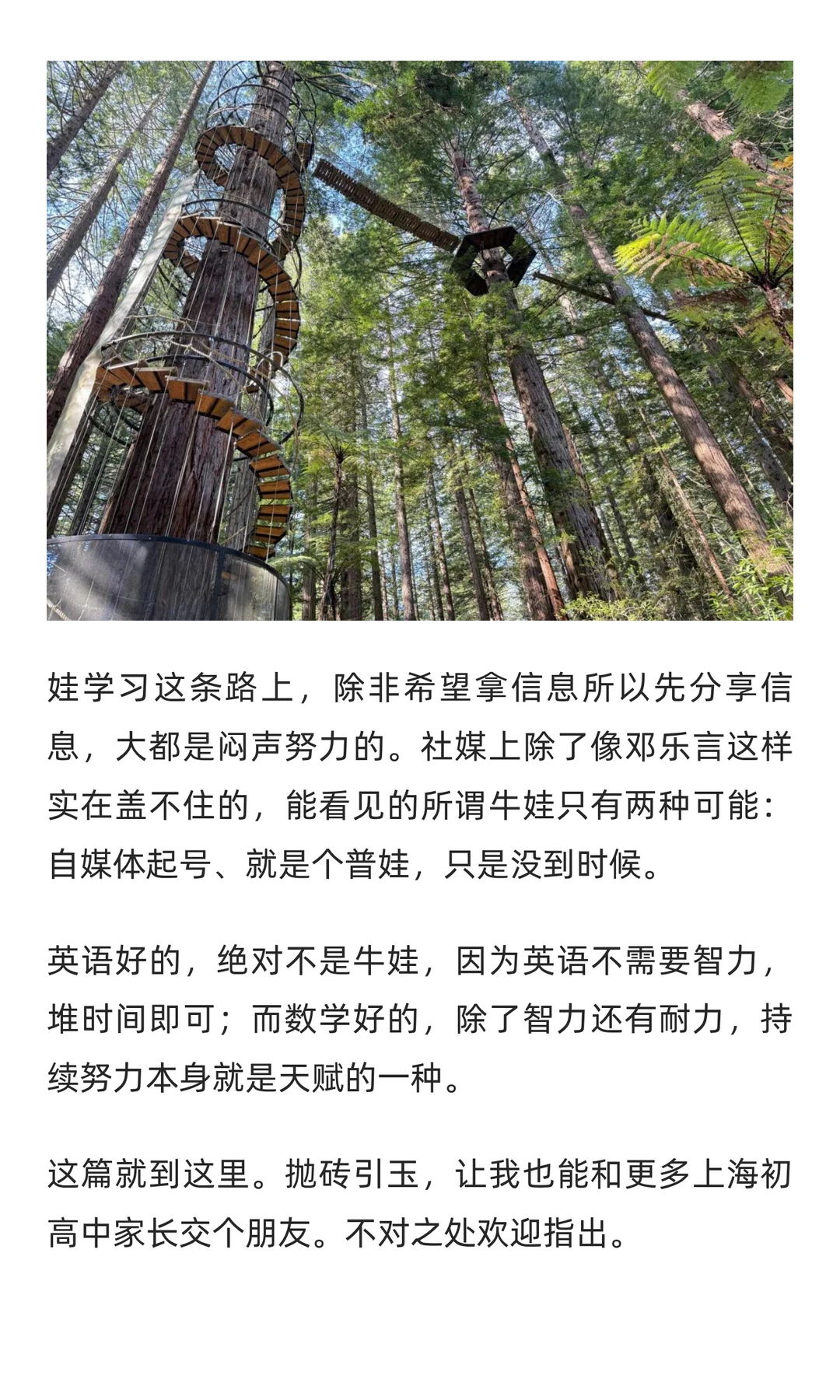 上海的升学路径，我目前了解到这些。