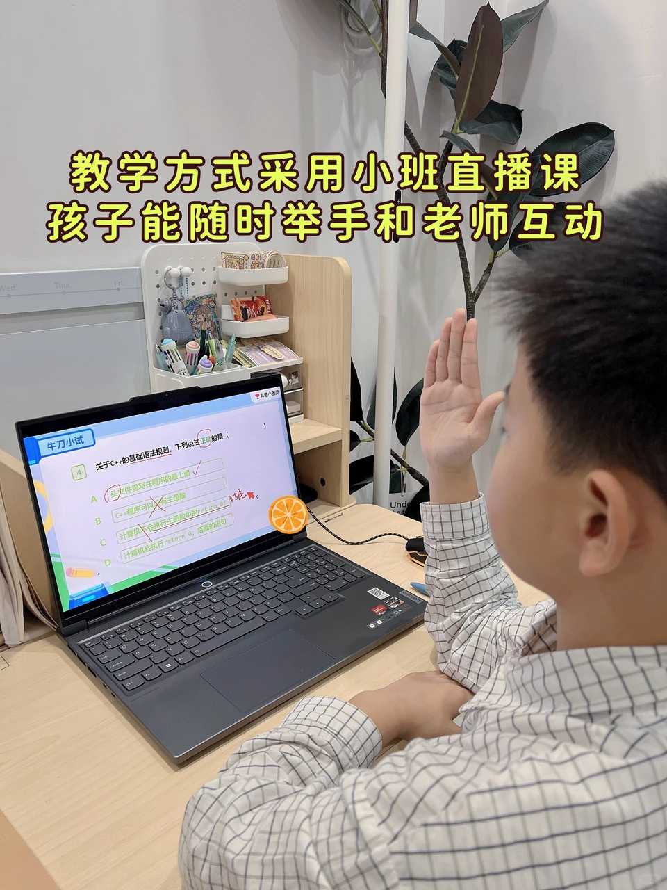 放弃奥数改学编程后，总算摸清特长生门道