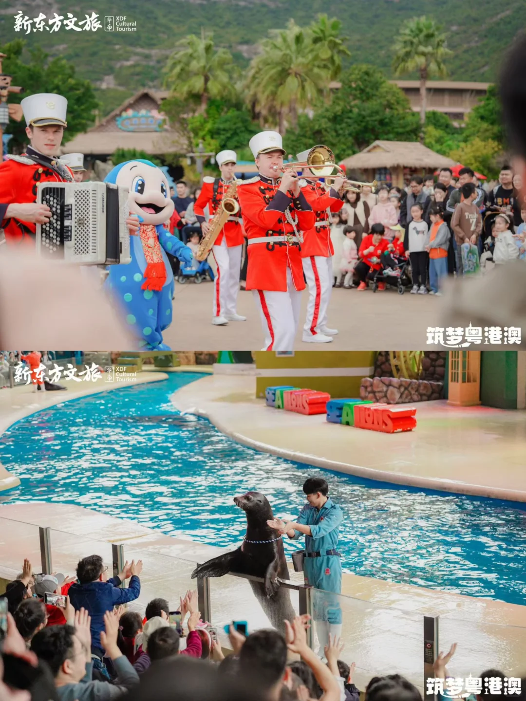 寒假遛娃天花板🔥用6天撬动港澳名校资源