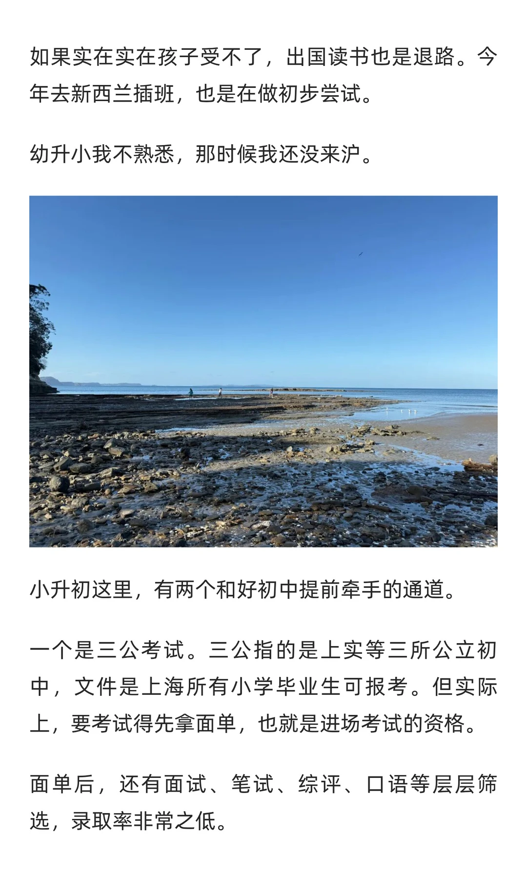 上海的升学路径，我目前了解到这些。