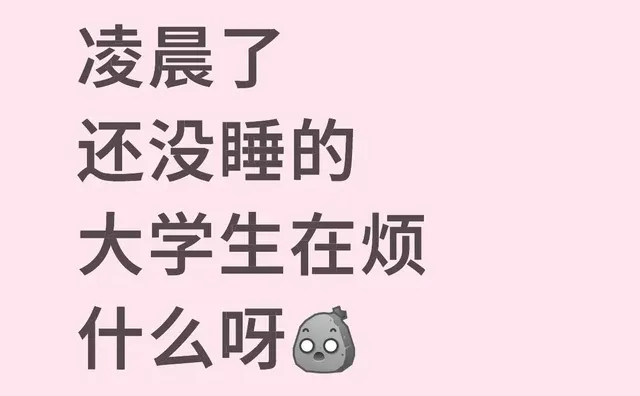 凌晨了还没睡的大学生在烦什么呀