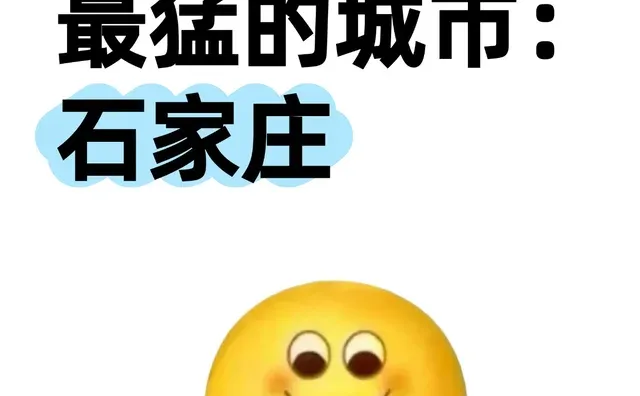 做副业最猛的城市:石家庄😋