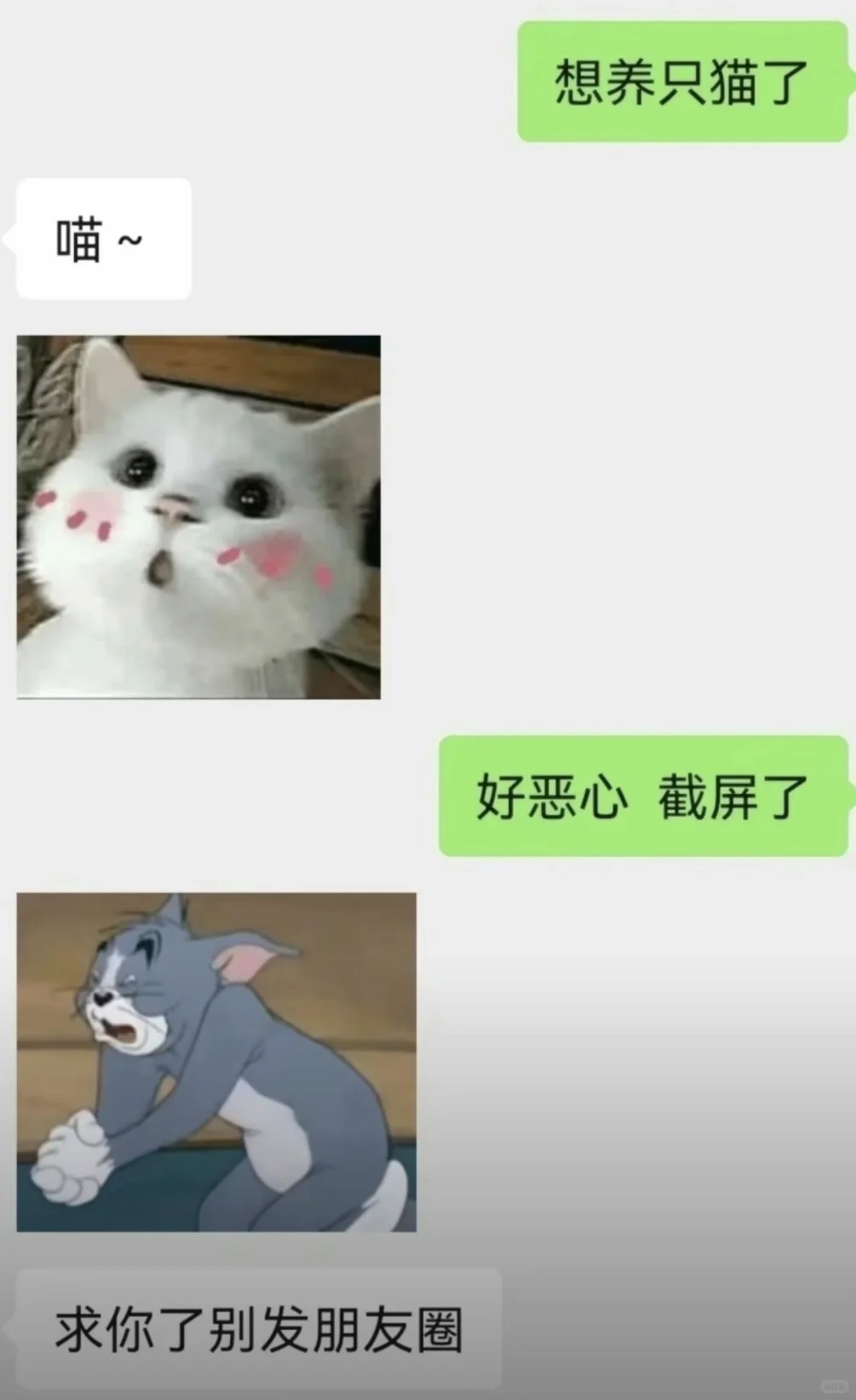 《大半夜的，快被网友聊天记录笑疯了！🤣》