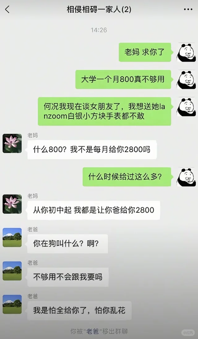 《大半夜的，快被网友聊天记录笑疯了！🤣》