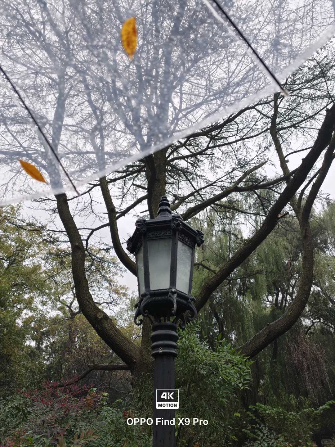 喜欢live图又离不开安卓的，现在有新选择了！