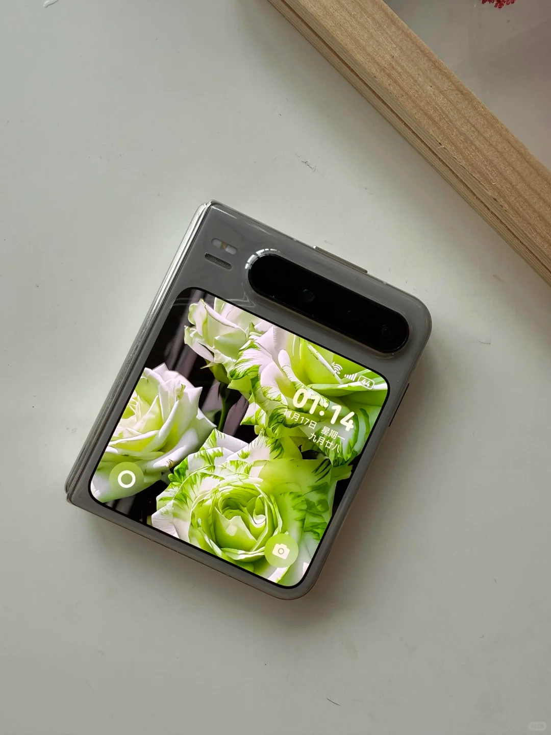 新入手的purax尊嘟喜欢