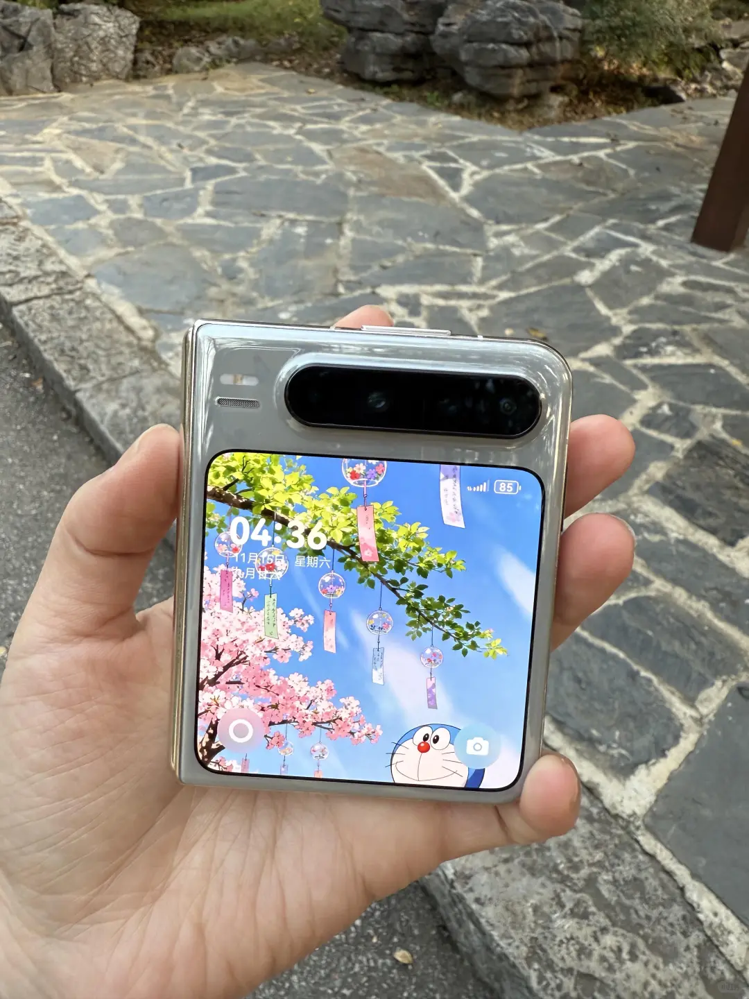 有颜有实力的小胖墩