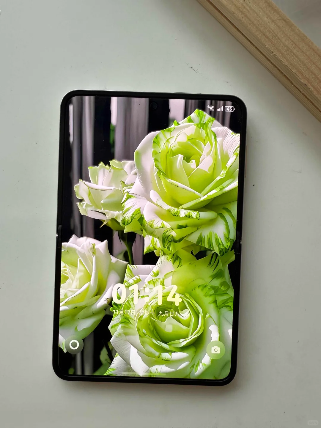 新入手的purax尊嘟喜欢