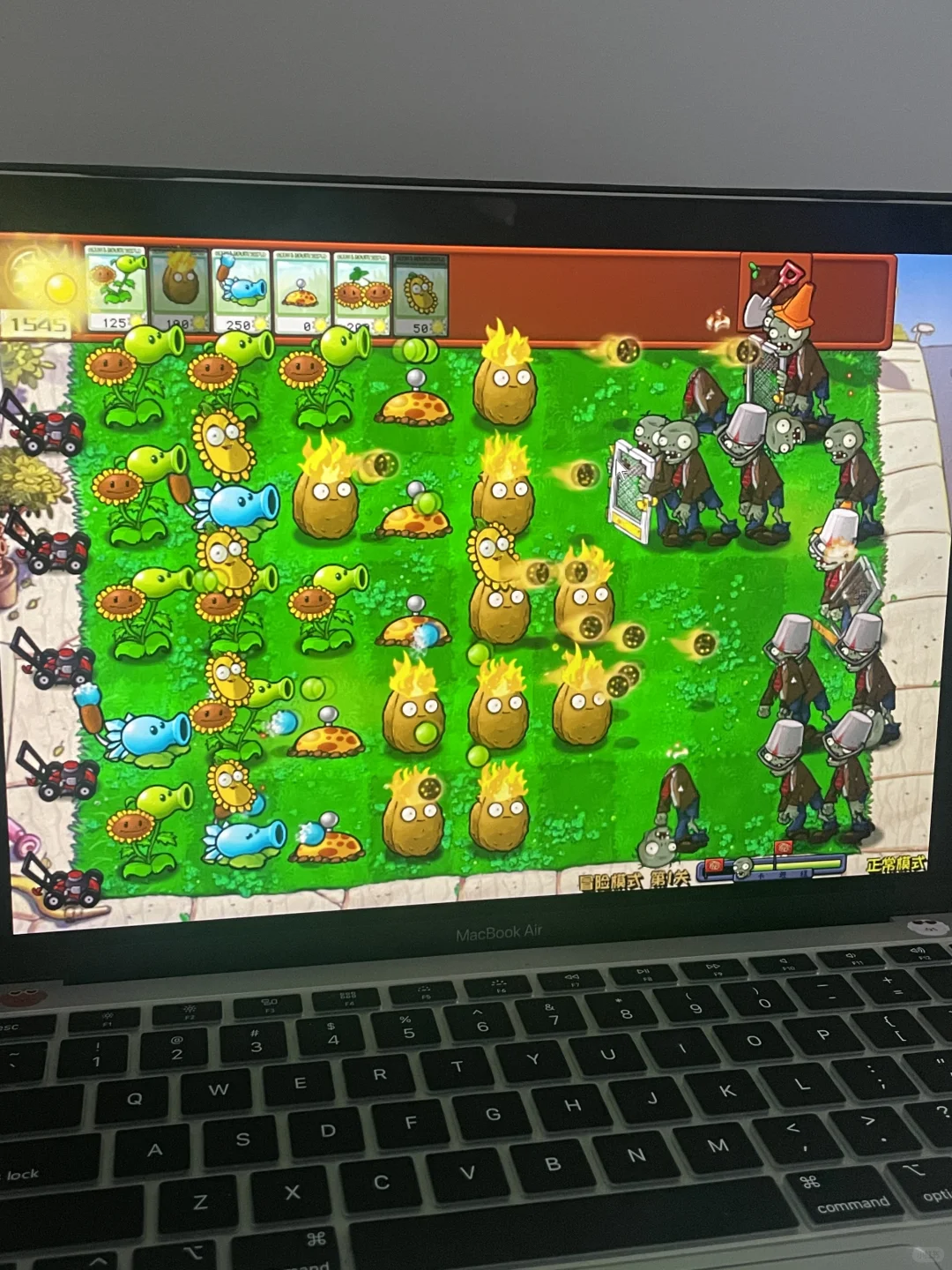 还是植物大战僵尸好玩！！爽！！