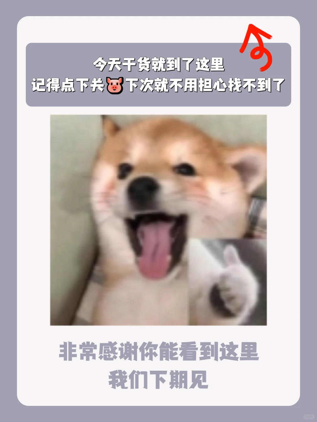 2025旗舰新机应该怎么选？看完不花冤枉钱