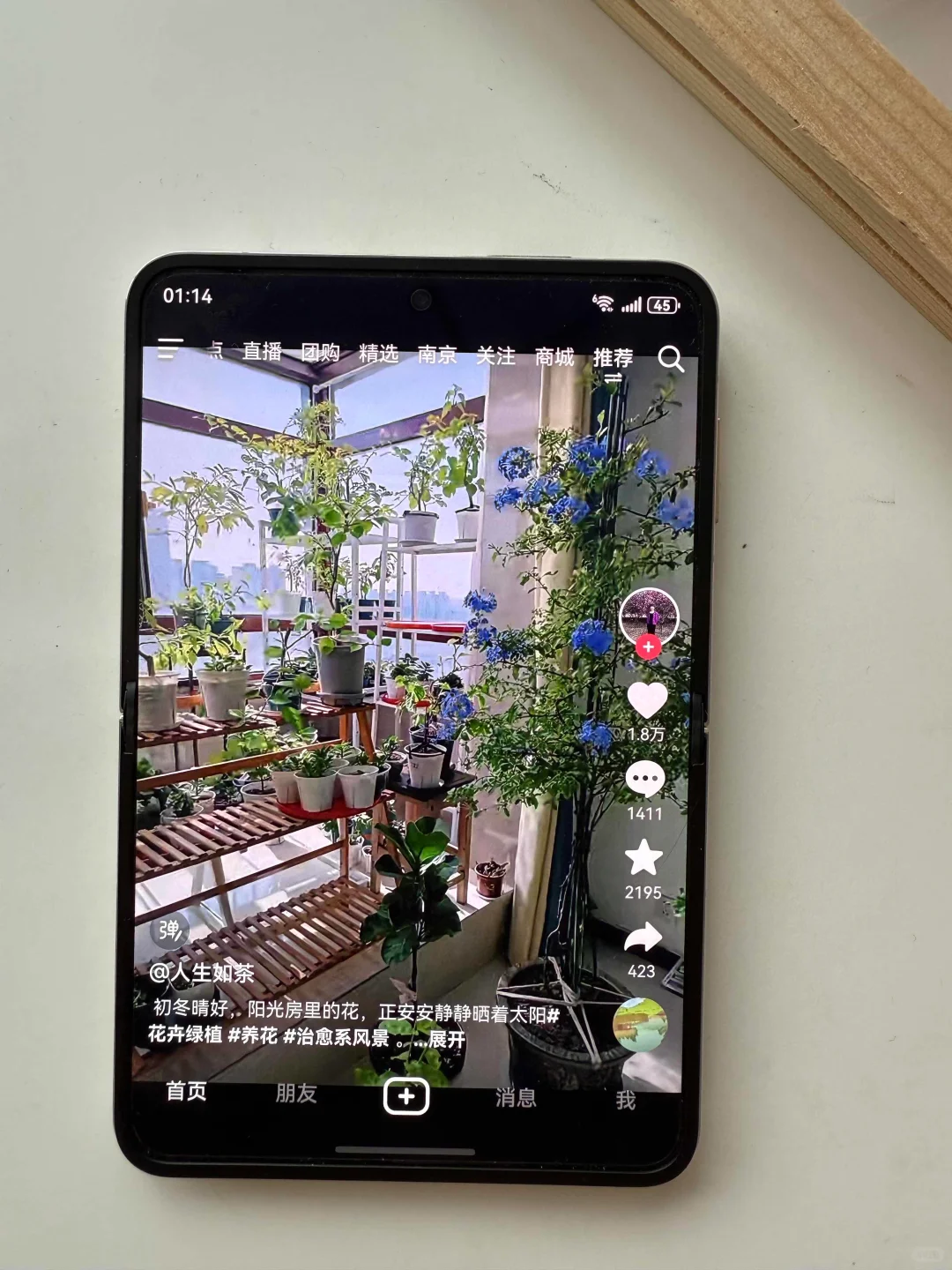 新入手的purax尊嘟喜欢