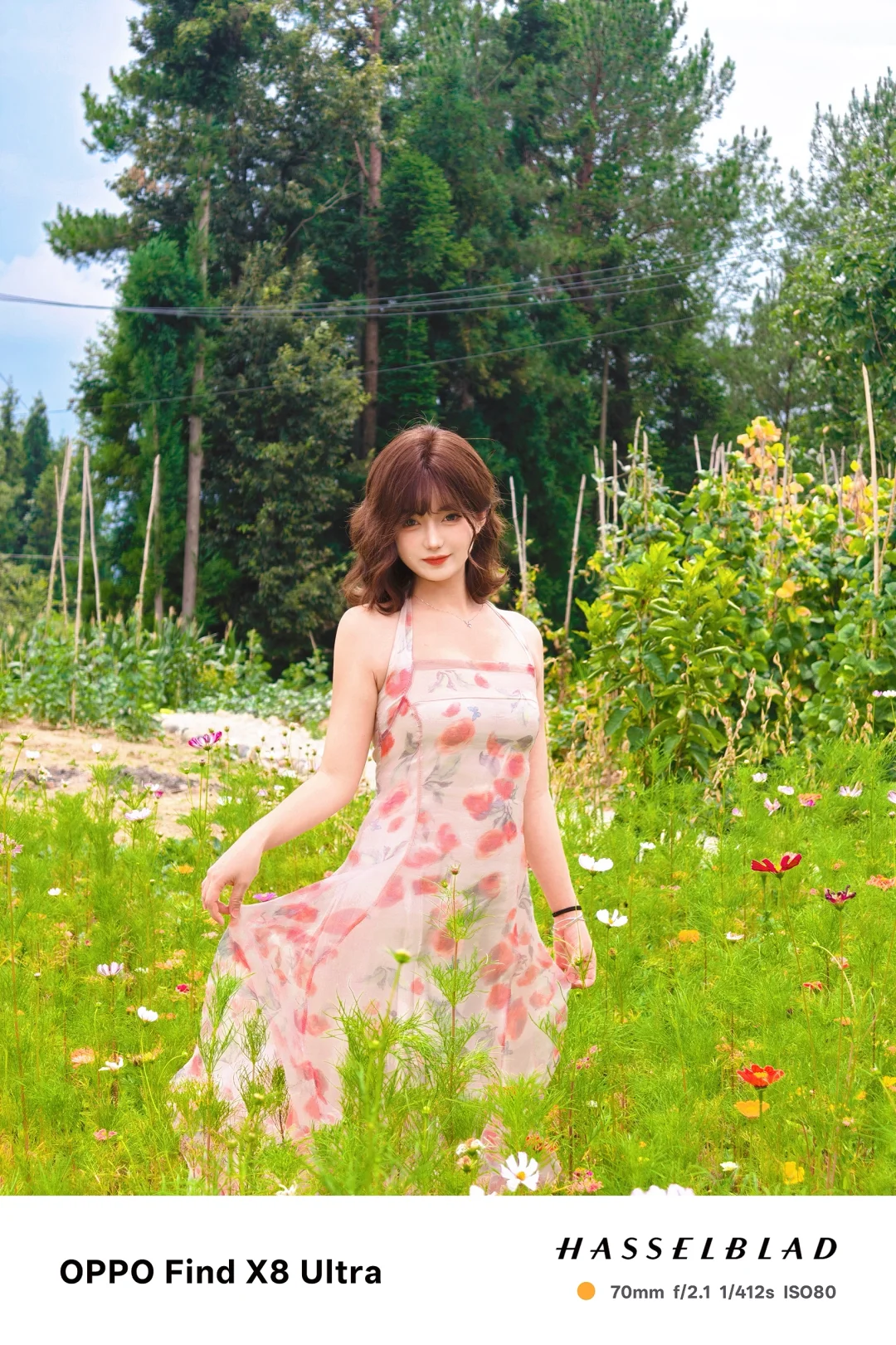 其实我一直拿安卓手机当相机使…