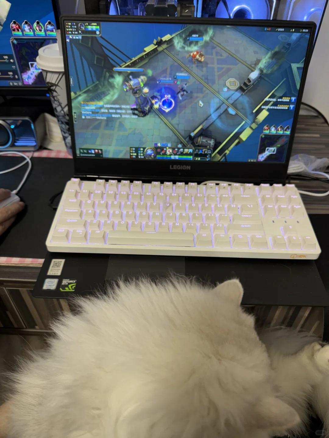 5.5k拿下4060全套配置（主机4.3k）