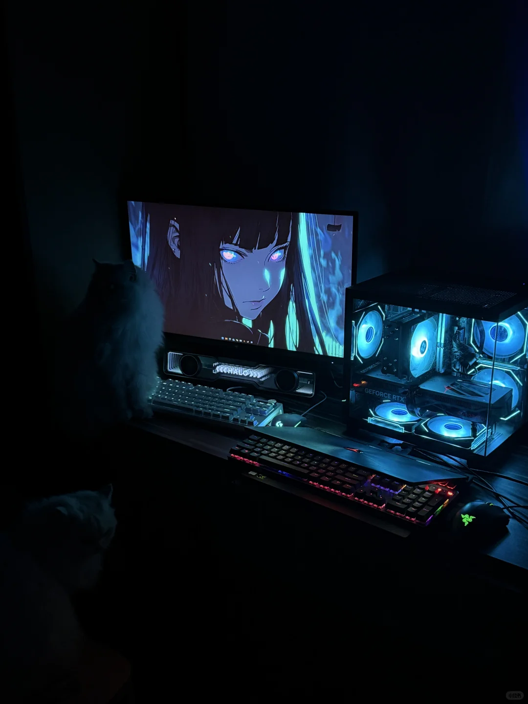 5.5k拿下4060全套配置（主机4.3k）