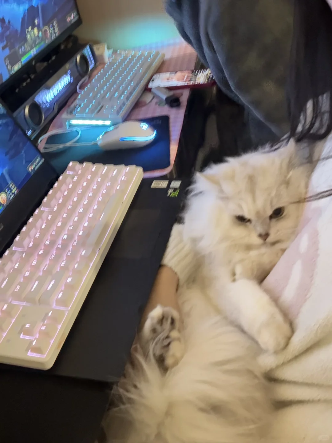 5.5k拿下4060全套配置（主机4.3k）