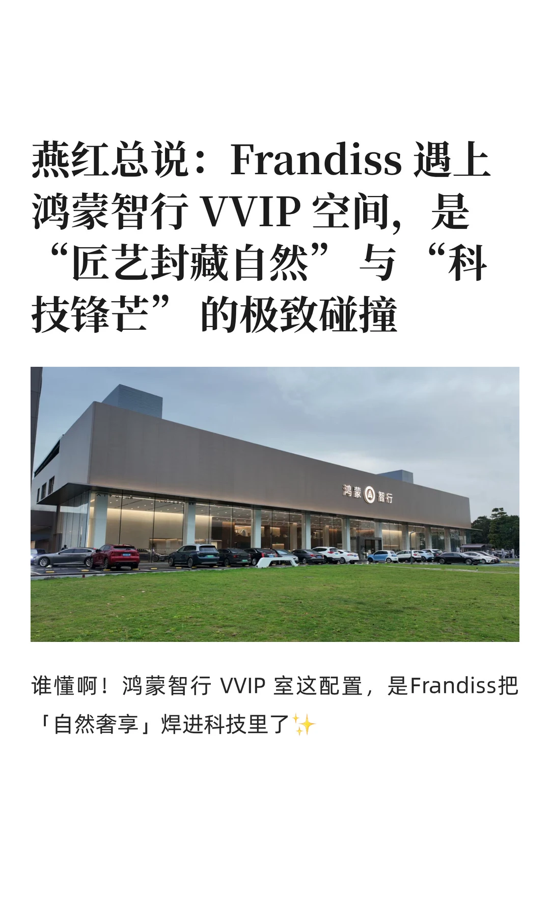 燕红总说：Frandiss 遇上鸿蒙智行 Vvip 空