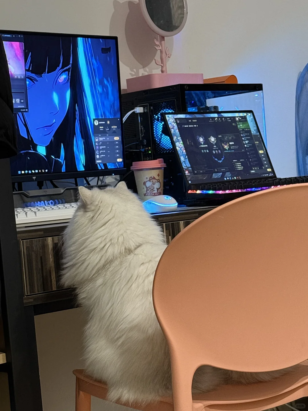 5.5k拿下4060全套配置（主机4.3k）