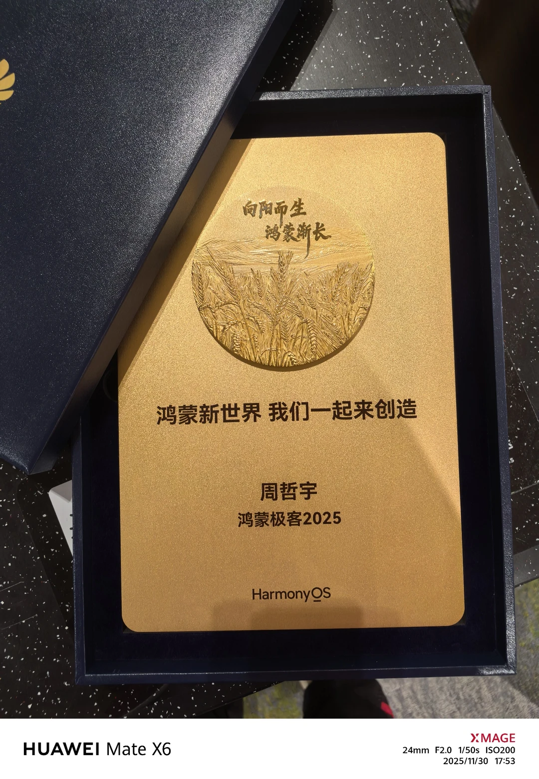 我成为鸿蒙极客啦