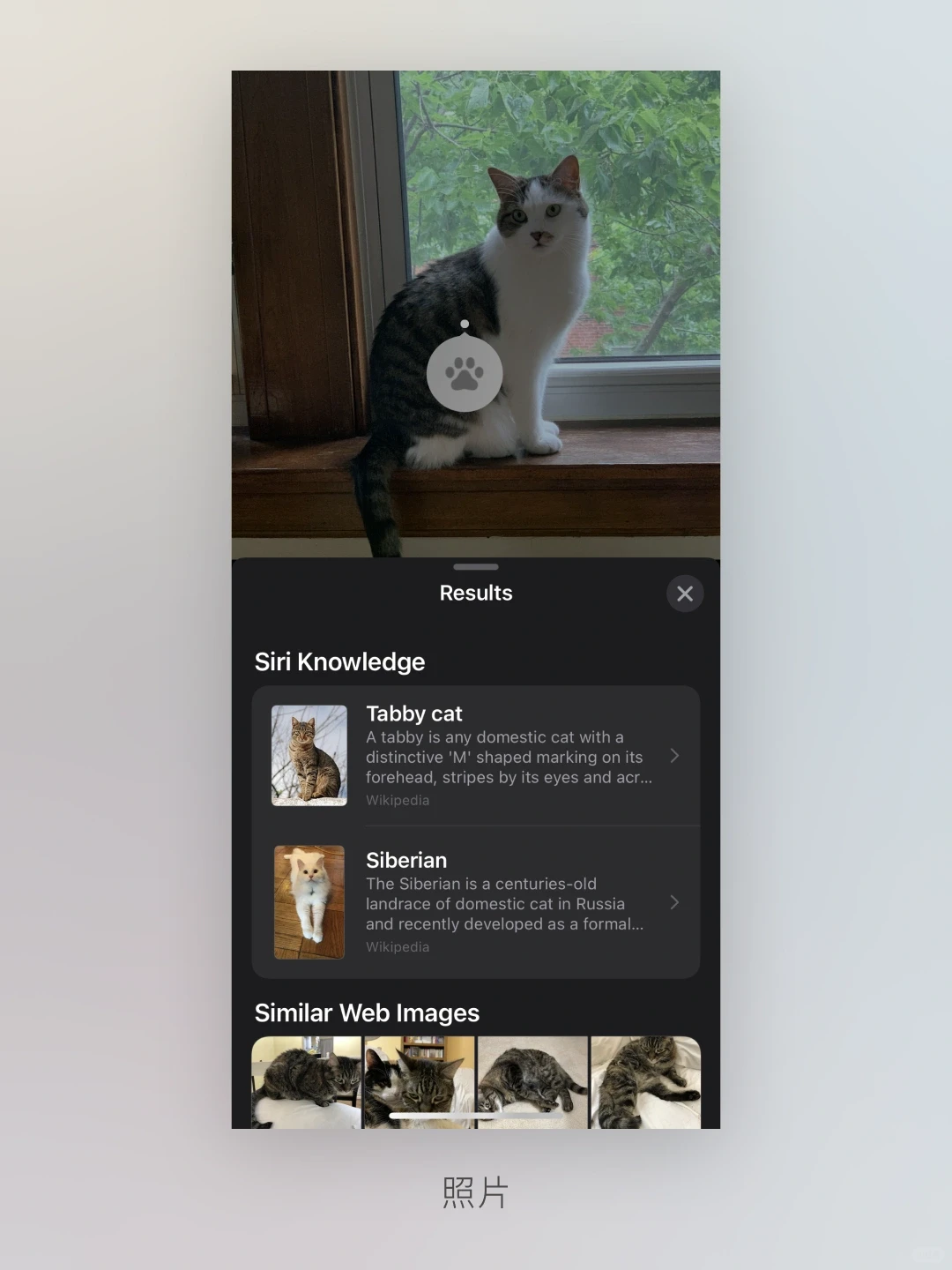 🤔️ 了解了，iOS 又更新了些不同 🤔️
