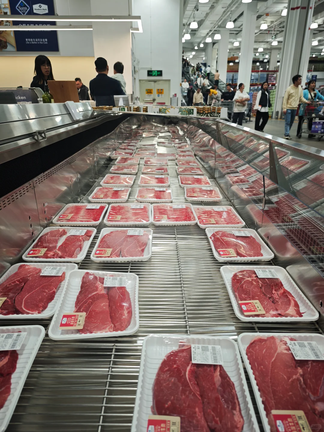 安卓人误入苹果超市