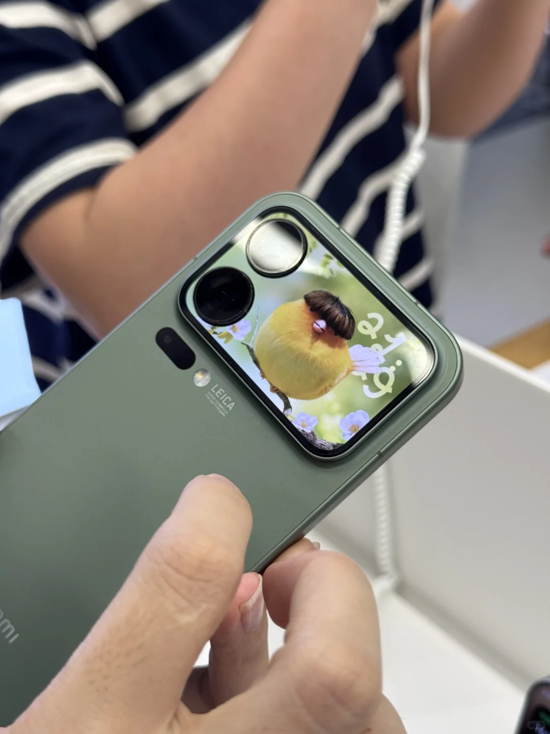 意外有趣，玩了半小时背屏😂直接拿下