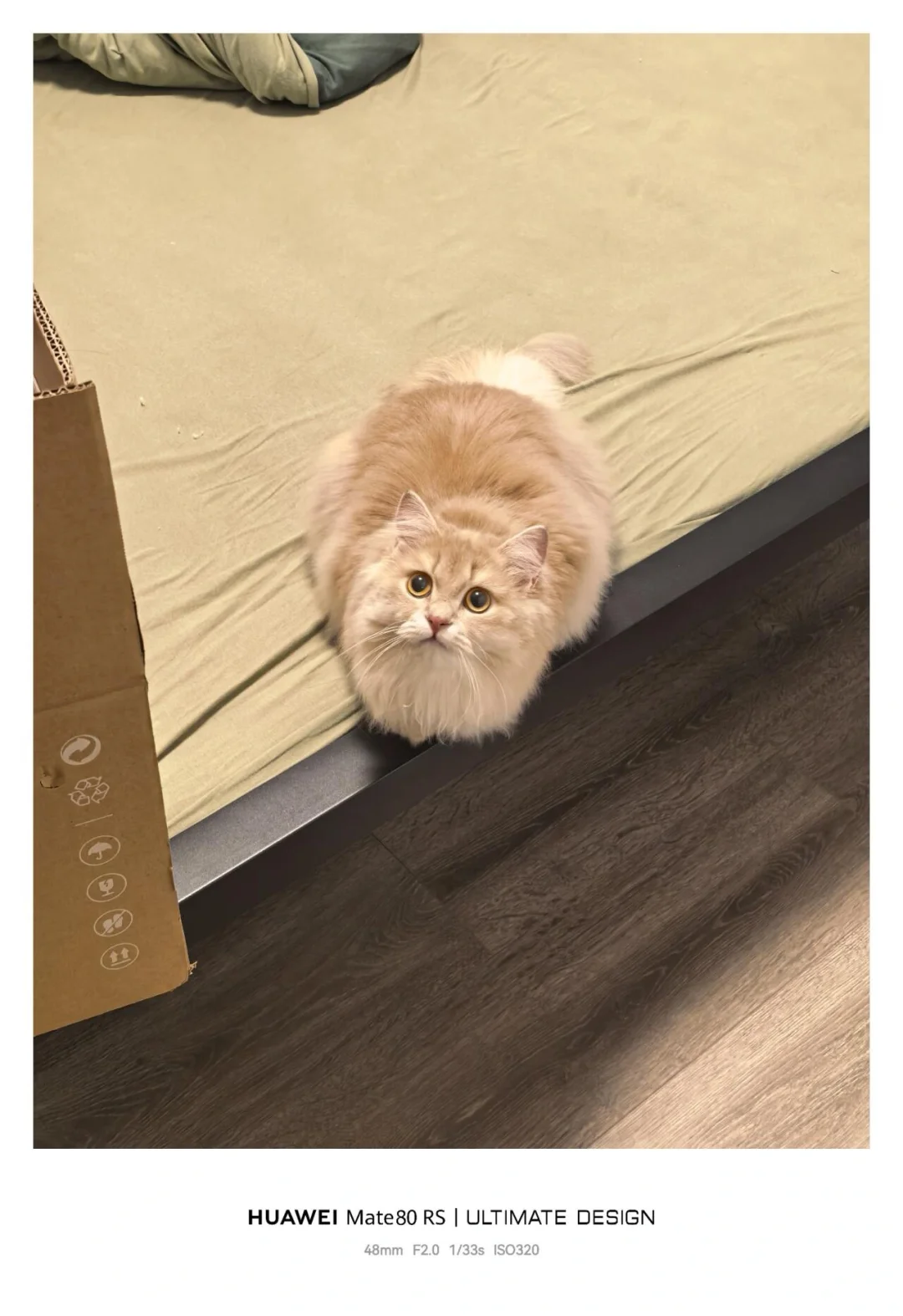 华为Mate80Rs&鸿蒙6.0一周目体验。