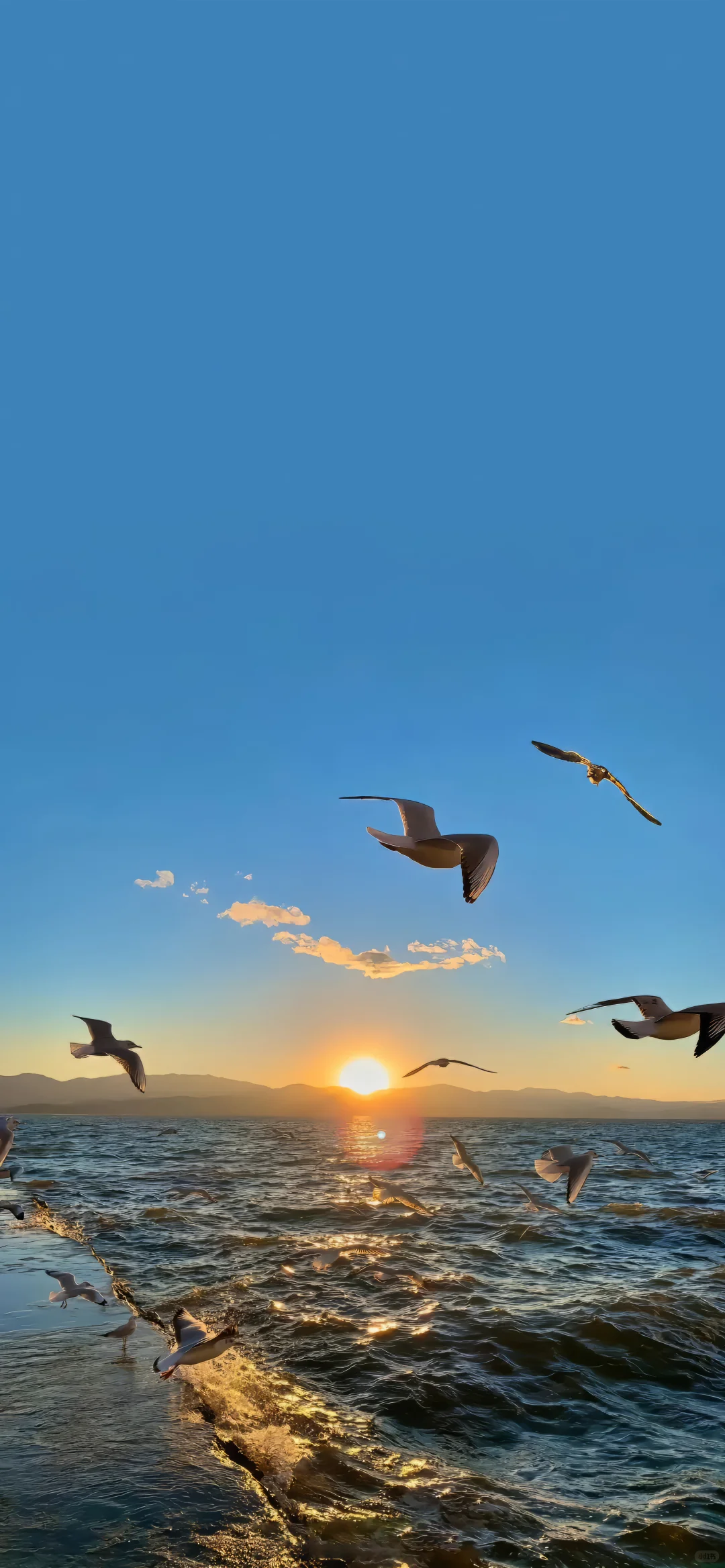 share | 苹果ios26 裸眼3D壁纸