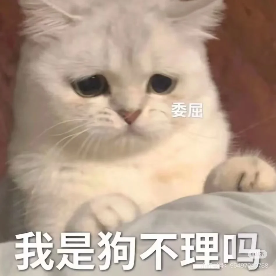 一些pc端单机游戏推荐