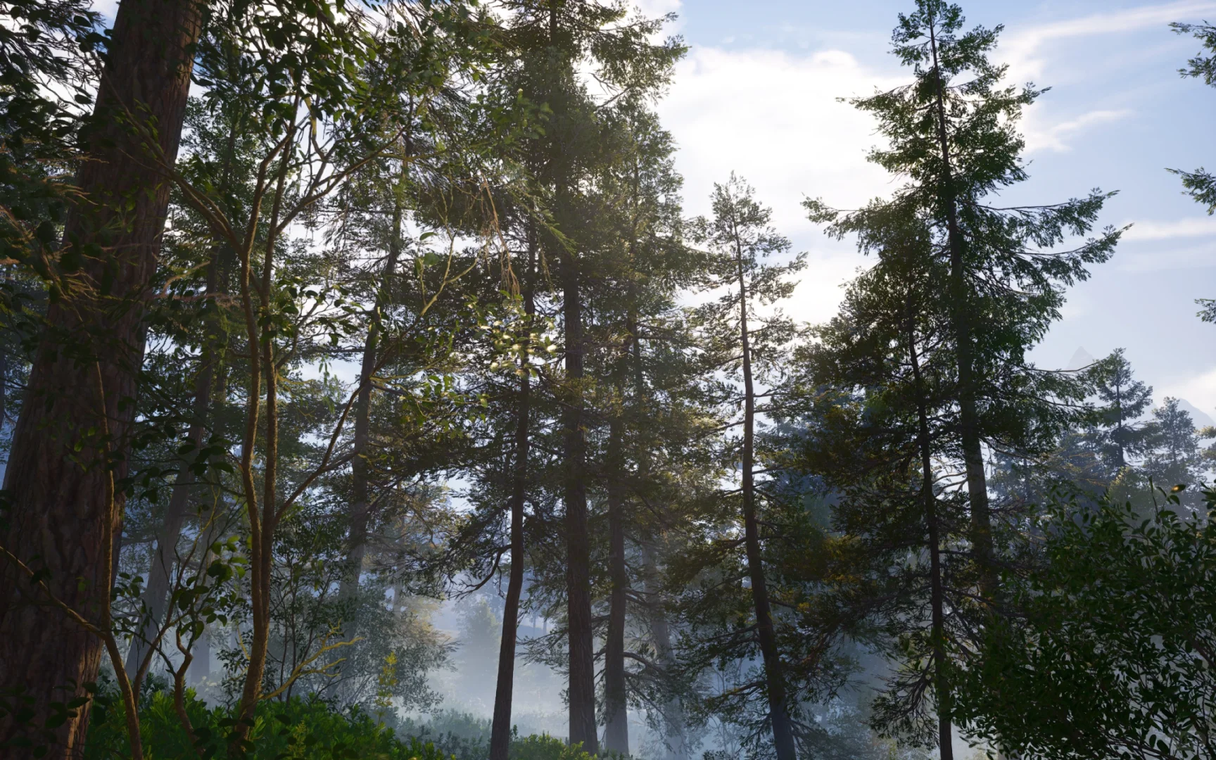 pc端和移动端对比…