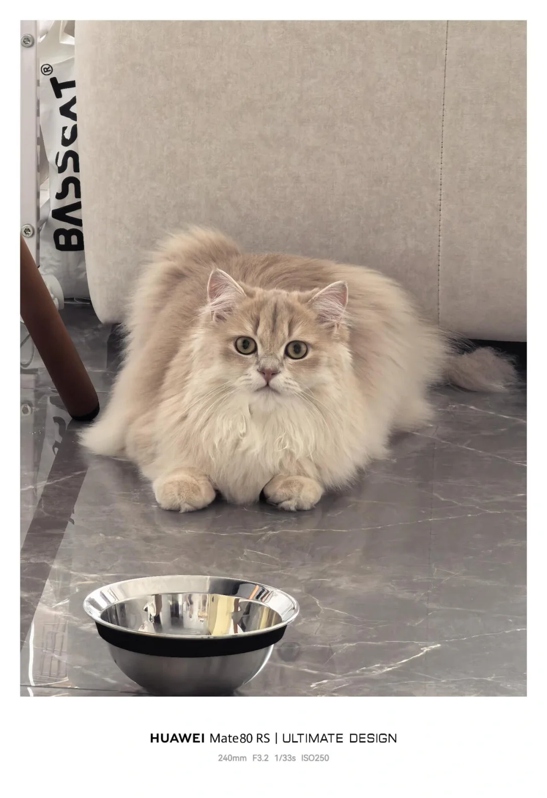 华为Mate80Rs&鸿蒙6.0一周目体验。