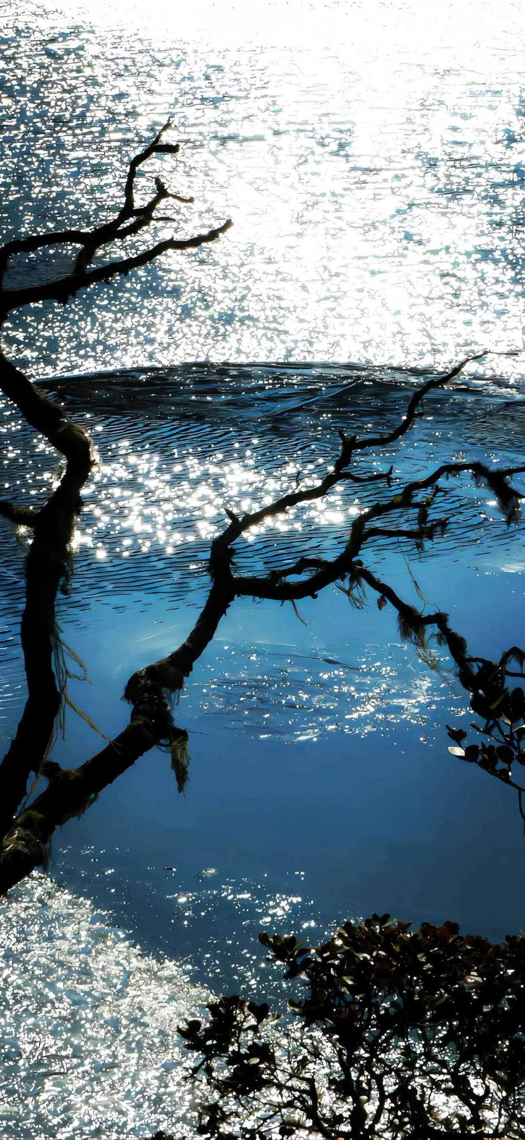 share | 苹果ios26 裸眼3D壁纸