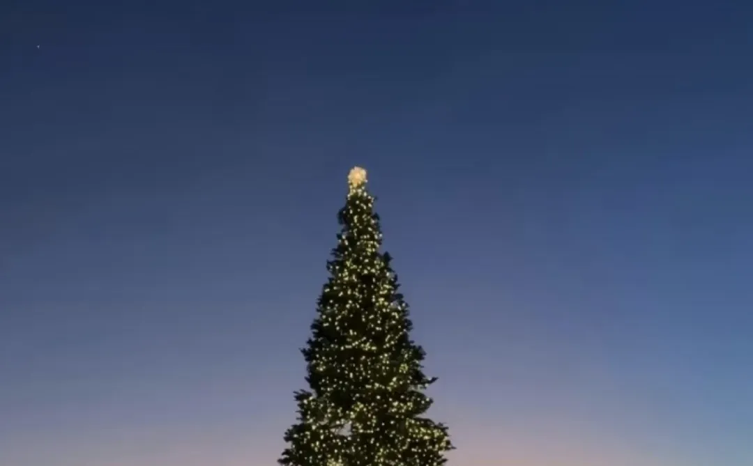 荣耀你太漂亮了吧❤️