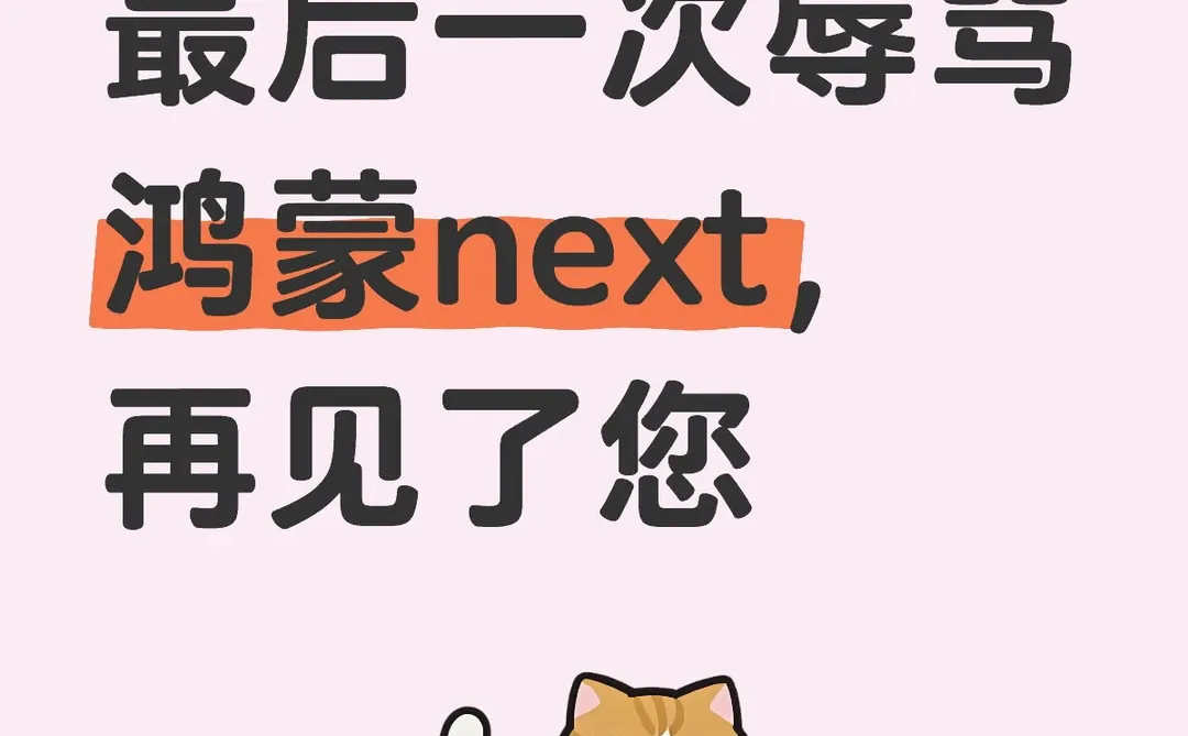 最后一次辱骂鸿蒙next，再见了您