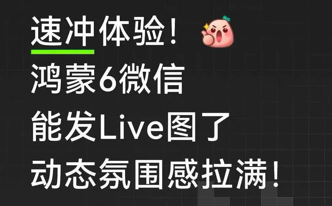 鸿蒙6微信又又又更新啦！！