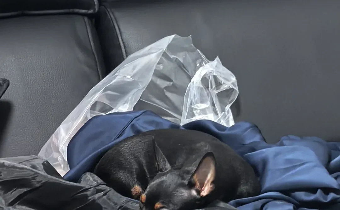 鸿蒙6微信可以发live图啦！！